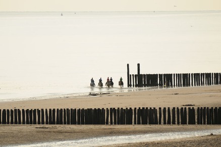 Guesthouse Ride by the Sea op 800 meter van het Walcherse strand van Dishoek VMP060